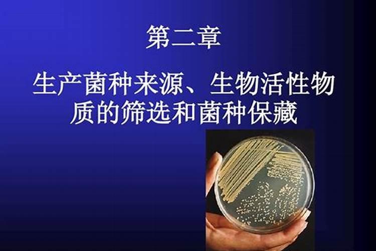 哪种钾肥最好