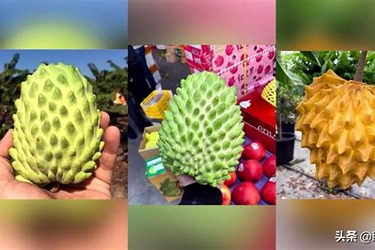 豆角叶面肥有哪些？给豆角喷施什么叶面肥效果好呢？