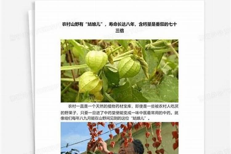西红柿使用什么肥料最好？