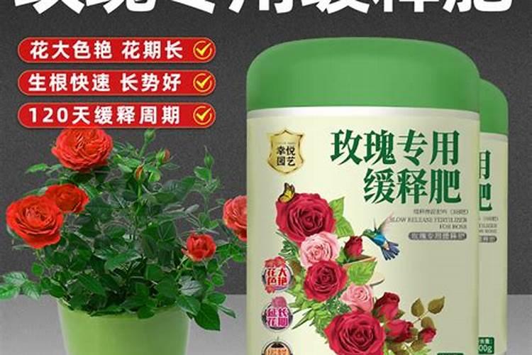 盆栽施肥怎么选择？控释肥、缓释肥、复合肥有何不同？