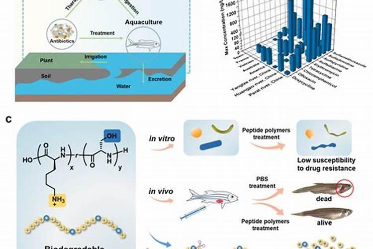 什么叫氨基酸水溶肥,含氨基酸水溶肥原料分