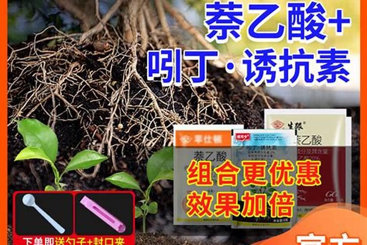 生根水浇花好不好 泡过根的生根水浇花方法