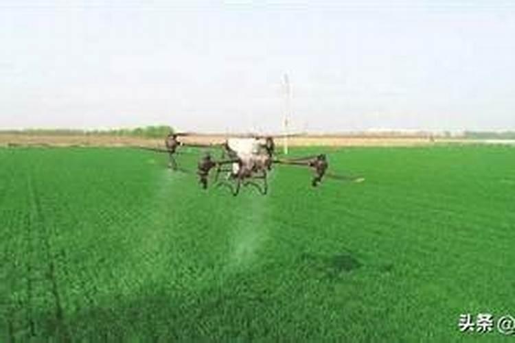 小麦追肥用什么肥料好？