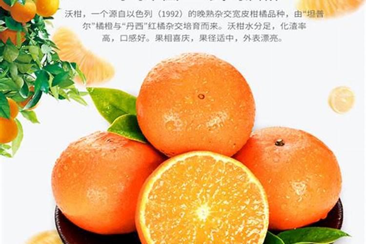 沃柑用什么肥料最好