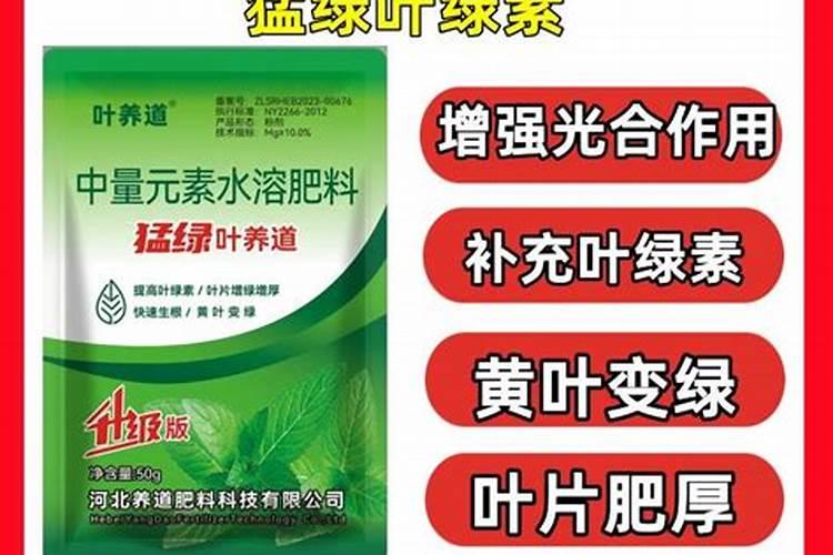 小麦底肥用二铵和尿素为什么不高产