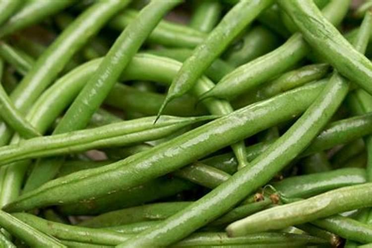 种植包菜的时候,需要打掉底部老叶吗？