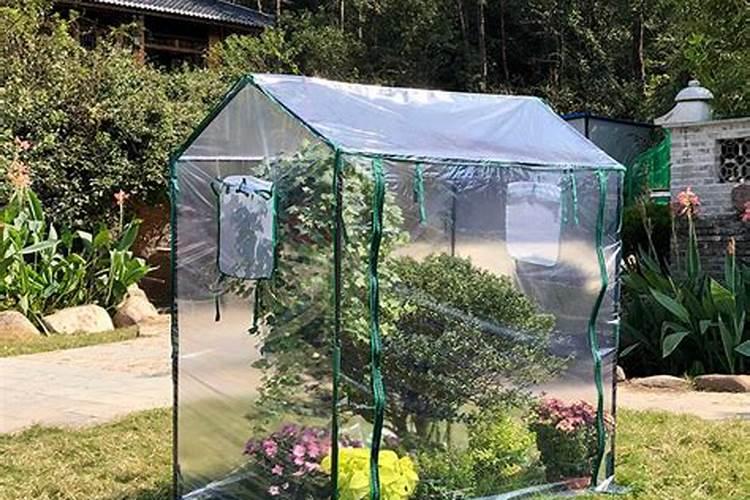 苹果树套袋后施什么化肥好(苹果套完袋什么时候追肥好 )