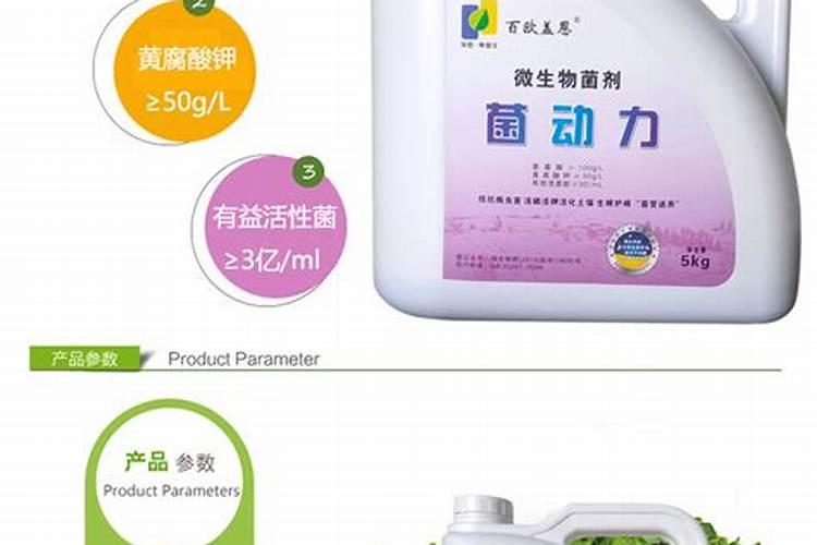 广东能不能种植香印青提？