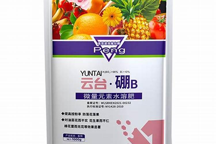 微肥对生姜生理特性有何影响？