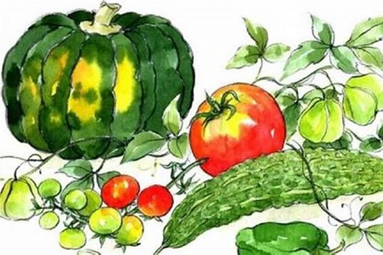 罗汉花生哪个品种最好