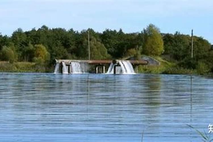 月季施什么肥开花最好