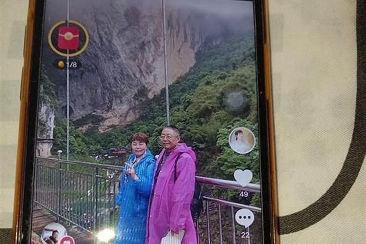 莲雾树木修剪到什么程度才控梢最好？