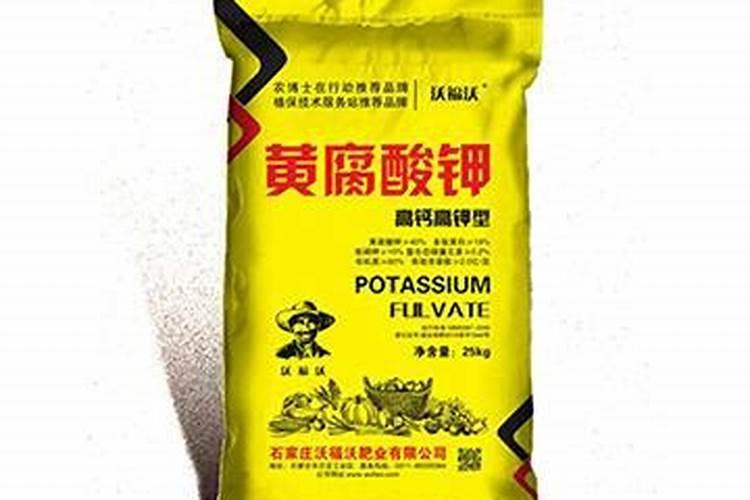 盆栽车厘子施什么肥最好