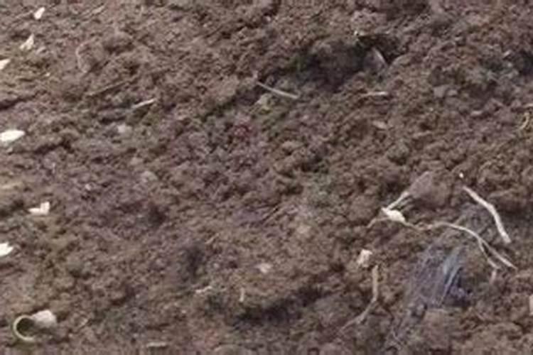 本翠大量元素水溶肥多少钱一吨