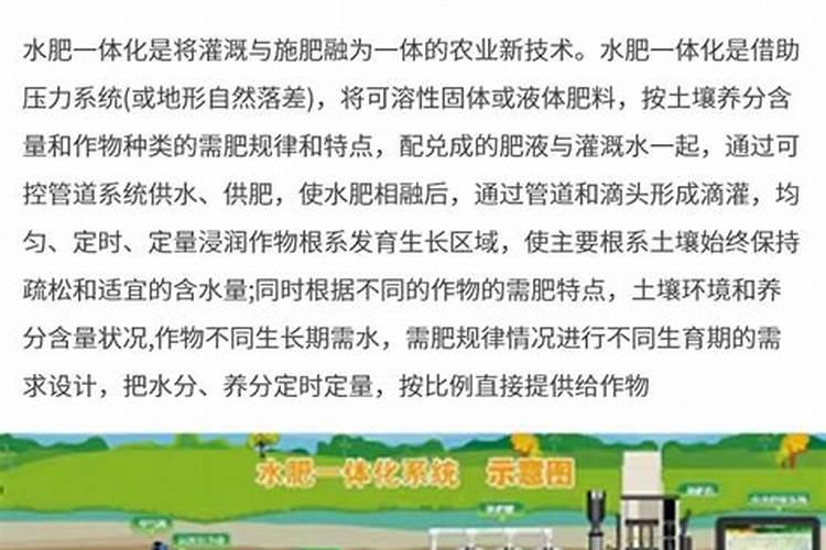 下完雨撒水溶肥可以吗