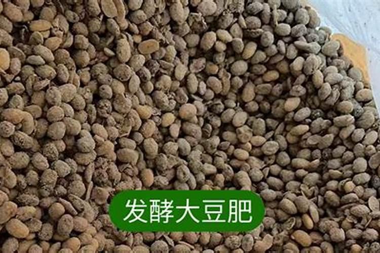 大豆什么时间施肥最好