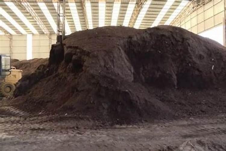 生根粉能直接浇灌植物吗？