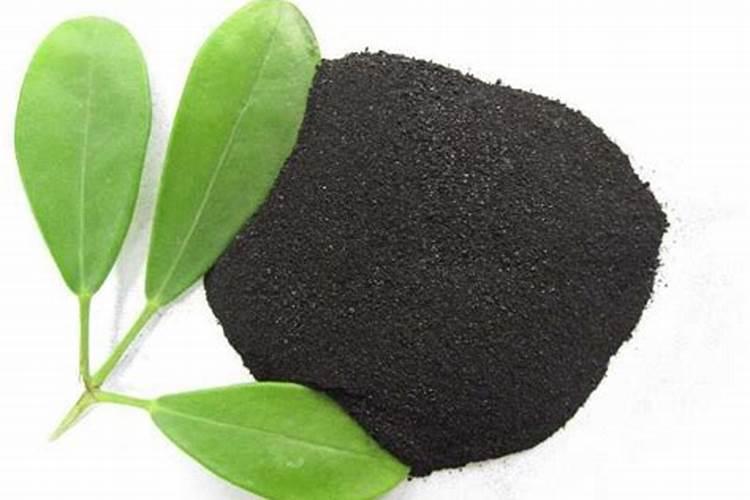 韭菜施什么肥长得又快又壮