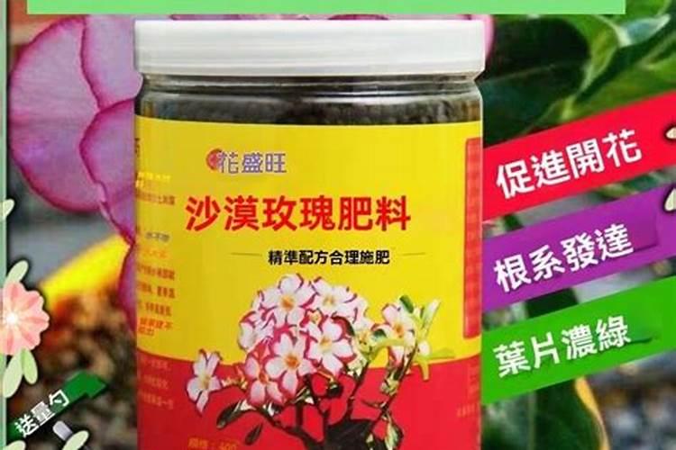 枣生虫了还有什么用处