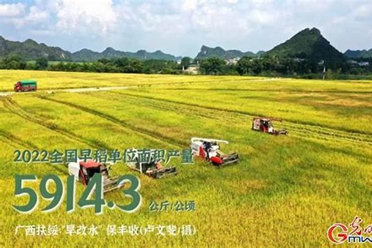 钾肥上市公司有哪些