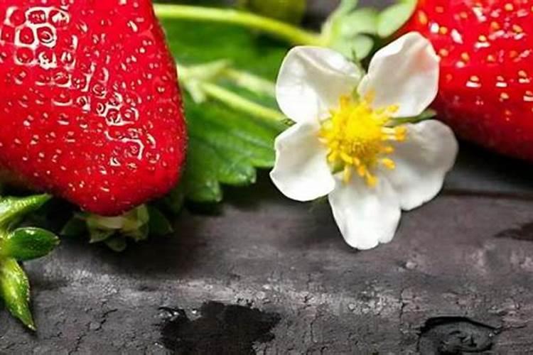 盆栽草莓用什么肥料好