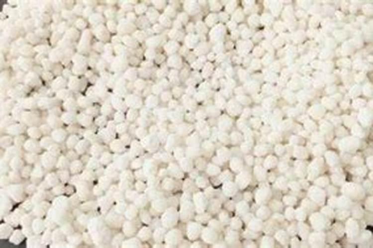 西红柿挂果膨大期如何施肥