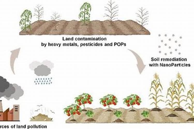 水溶肥硅肥用多少克？