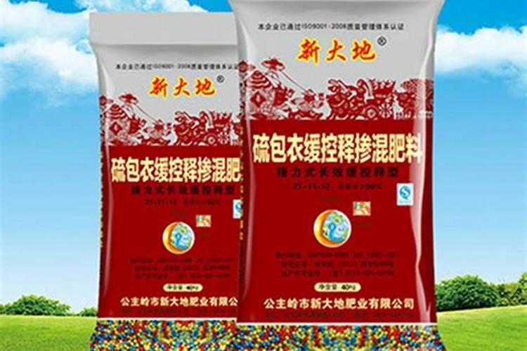 蟹爪兰到底什么时候该浇水