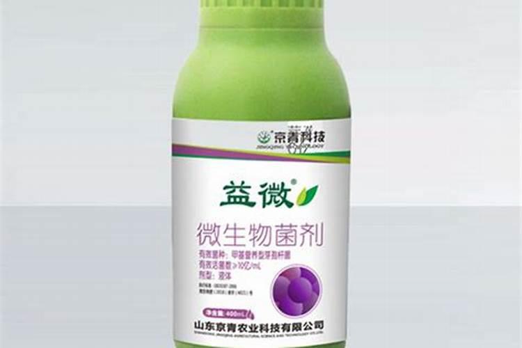 冬季如何解决蔬菜生长缓慢
