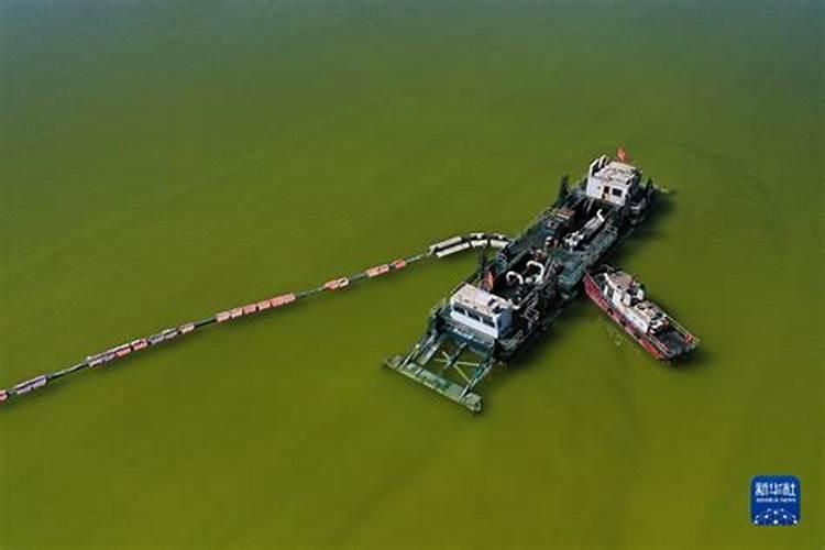 三天浇一次水的植物 需要每天浇水的植物有哪些