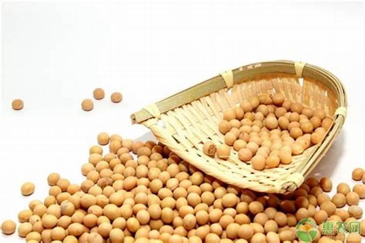 给白菜施什么样的肥料,才能既促进白菜生长又保证口感？