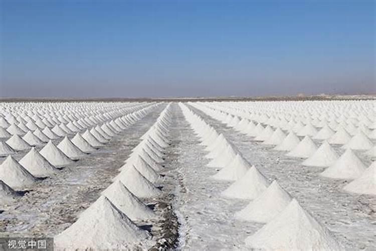 玉米后期追什么肥料好