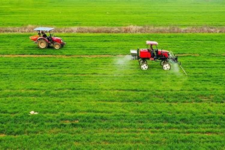 小麦肥都是用什么配方