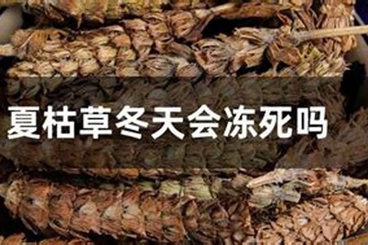 腐殖酸钾与硫酸钾的区别