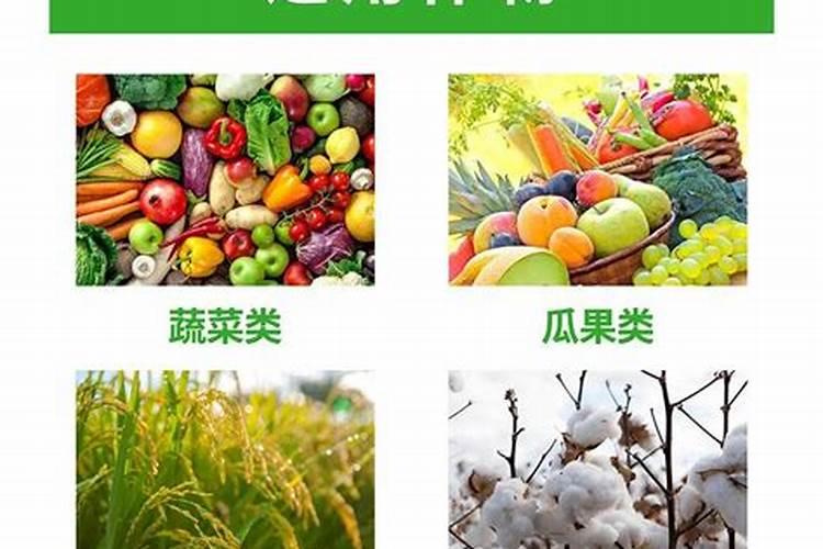 钙镁水溶肥炫出界,添加新型植物疫苗更好用