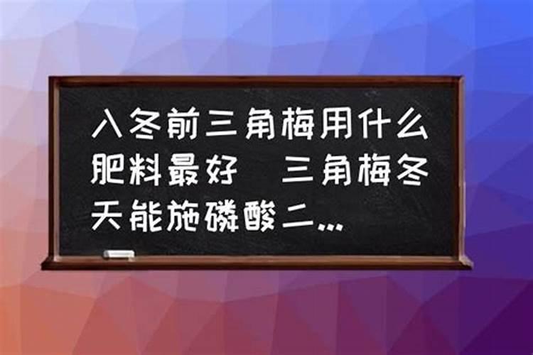 三角梅怎么养