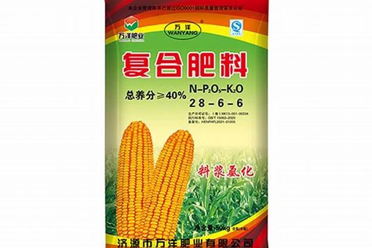 冲施肥什么时候效果好？