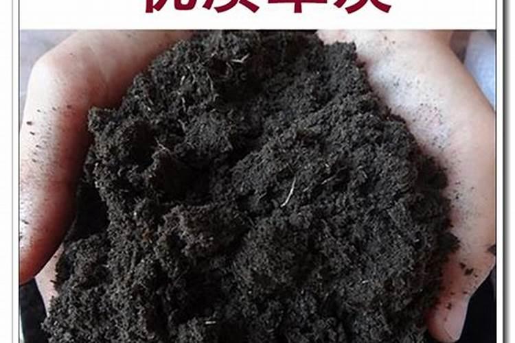 家庭种菜怎样自制土壤