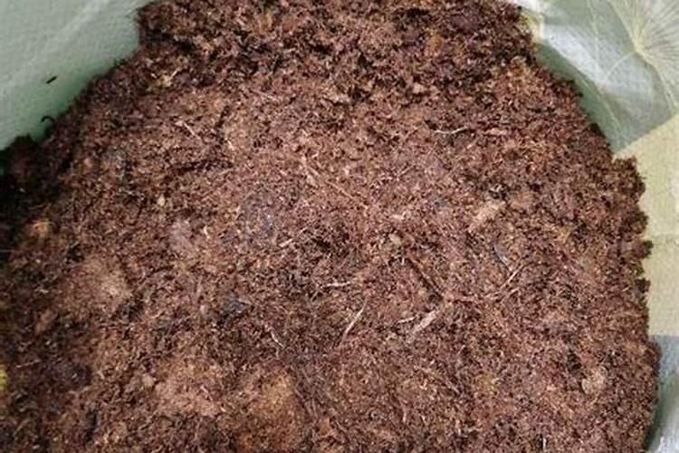 磷肥厂用过的土可以种花吗？