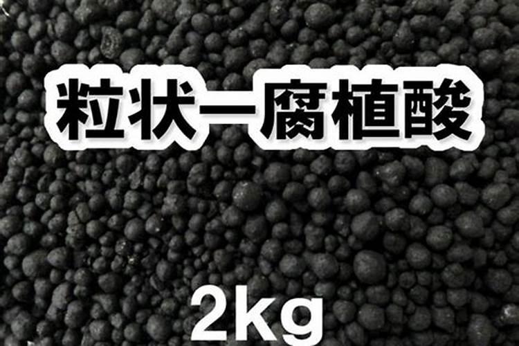 三角梅春天的养殖方法和注意事项