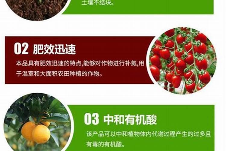 如何配制沙壤土