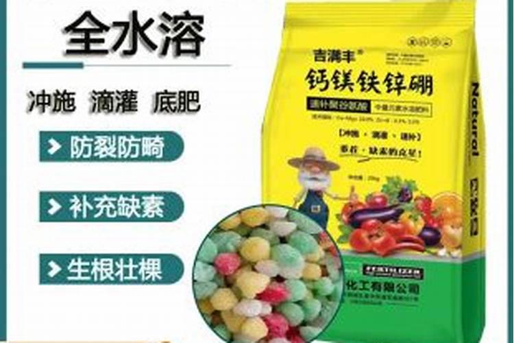 柑橘全年施肥时间表