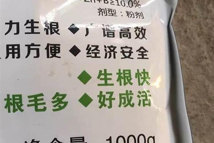 生根效果最好的肥料