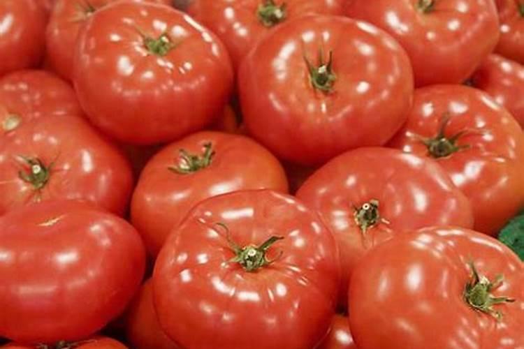 氮肥与尿素肥有什么区别