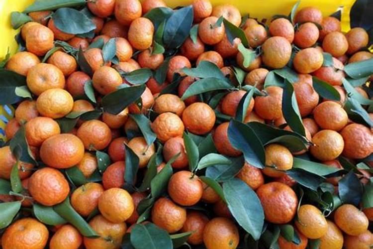 氮肥和尿素的区别