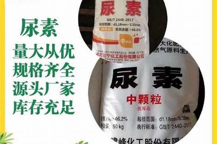 赵宗仁人物生平