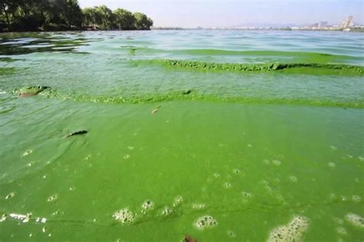 植物生长所需哪几种无机盐