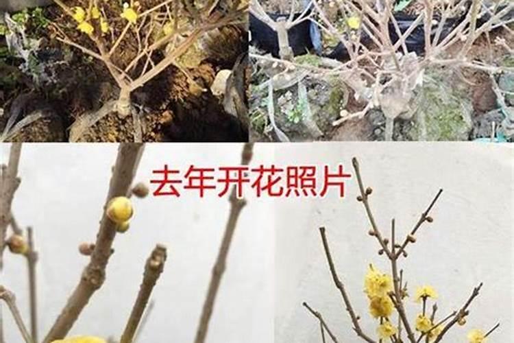 一天中喷农药最佳时间