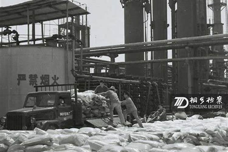 在江西宜春桔子籽也要等到春天发芽吗？