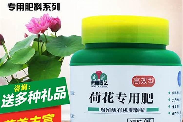 草木灰怎么施肥最好